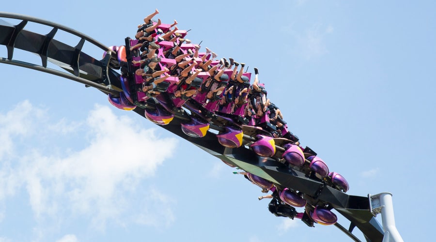 Buying A Roller Coaster Ride Online