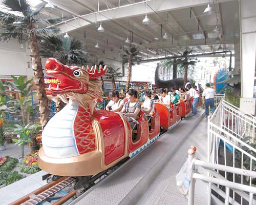 theme park sliding dragon roller coaster for sale