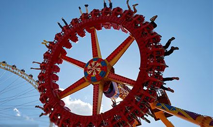 Frisbee rides for sale